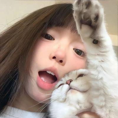 画鸡